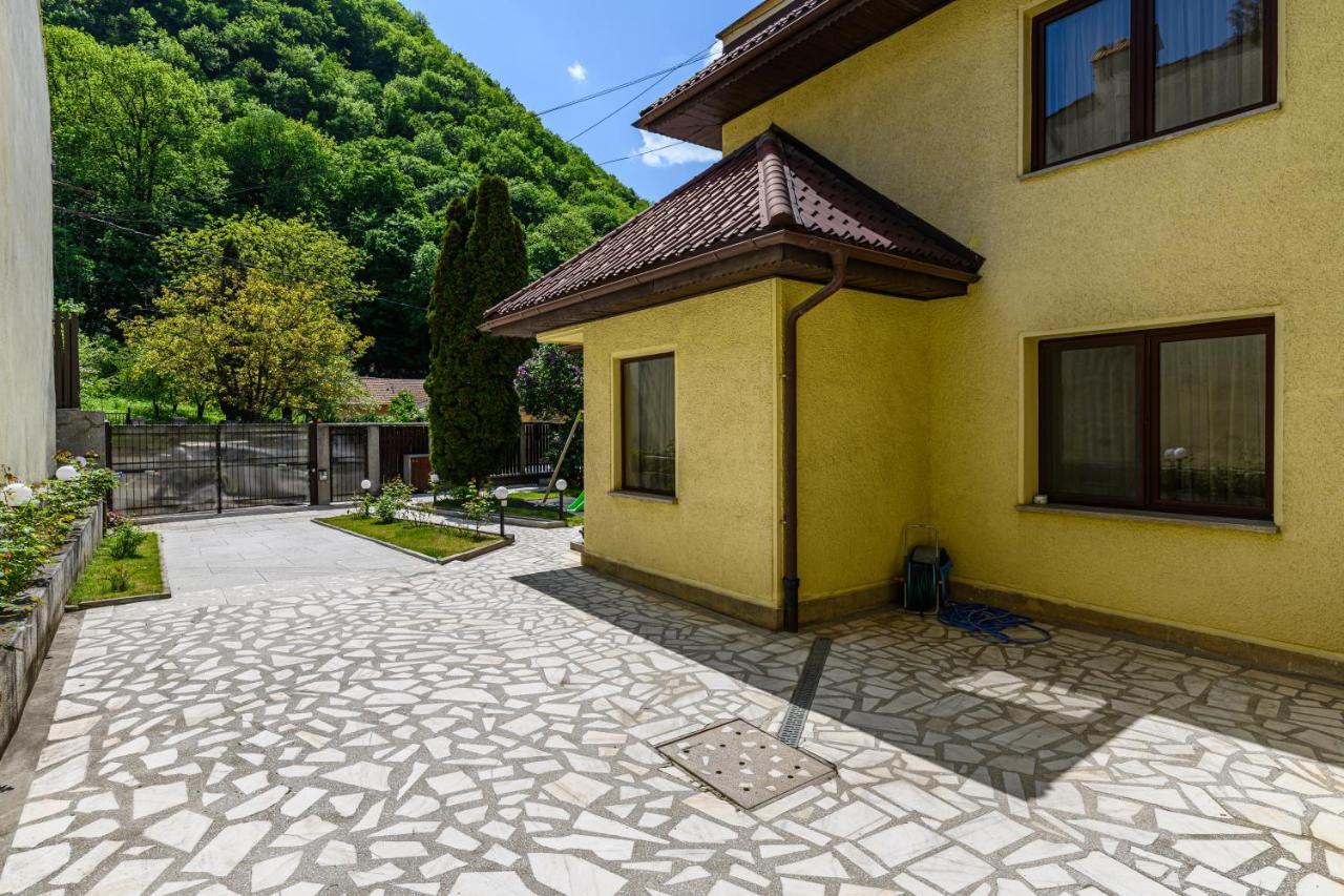 Hotel Cedrus Boutique Braszów Zewnętrze zdjęcie